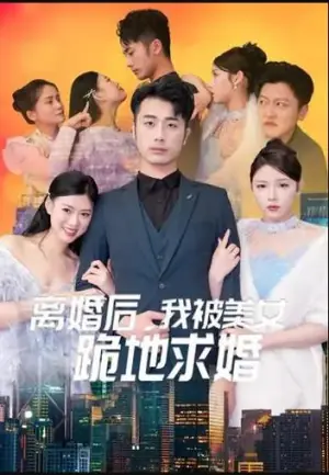 离婚后,我被美女跪地求婚海报