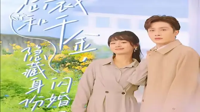 总裁和千金,隐藏身份闪婚了海报
