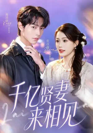 千亿贤妻来相见(钻石贤妻来相见)海报