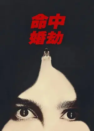 命中婚劫海报