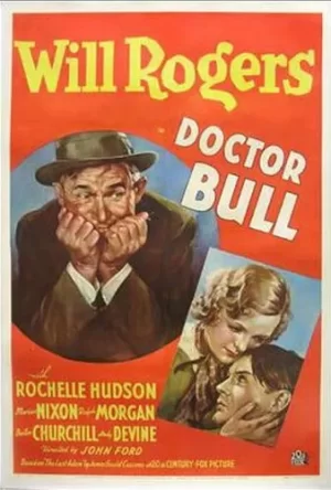 布尔医生海报