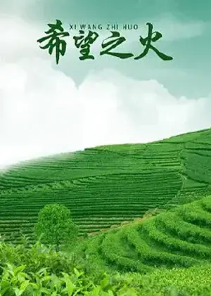 希望之火海报