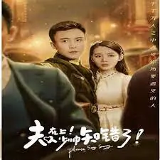 夫人在上,少帅知错了海报