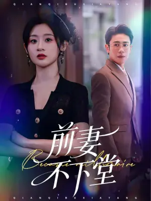 前妻不下堂海报