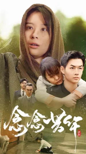 念念芳华海报