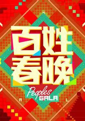 百姓春晚2011海报