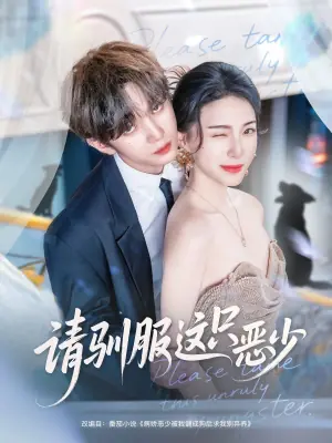 请驯服这只恶少海报