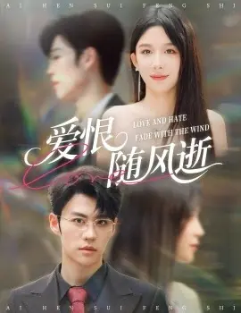 爱恨随风逝海报