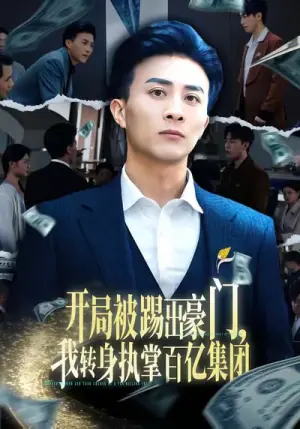 开局被踢出豪门,我转身执掌百亿集团海报
