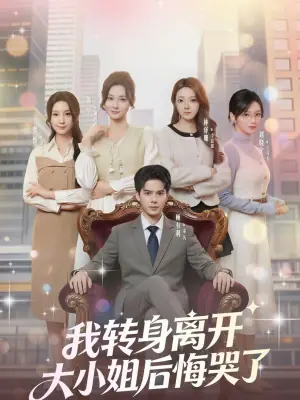 我转身离开,大小姐后悔哭了海报