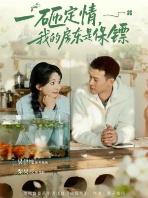 一砸定情,我的房东是保镖海报