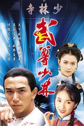 武尊少林(国语)海报