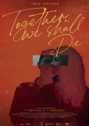 比尔利克特·奥莱采吉兹海报