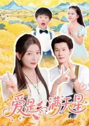爱是满天星海报