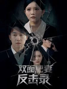 双面肥妻反击录海报