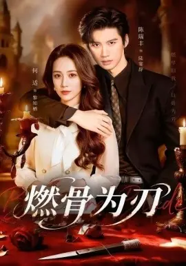 燃骨为刃海报