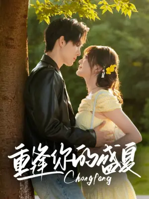 重逢你的盛夏海报