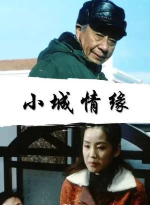 小城情缘海报