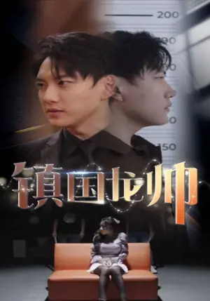 镇国龙帅海报