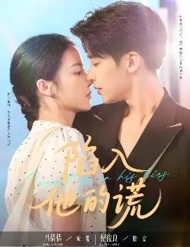 陷入他的谎海报