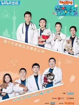 小主安康－宠物医院2海报
