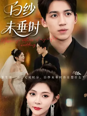 白纱未垂时海报