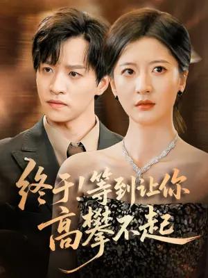 终于!等到让你高攀不起海报