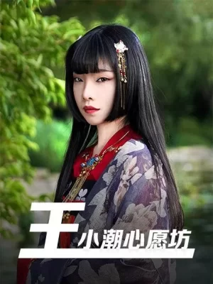 王小潮心愿坊海报