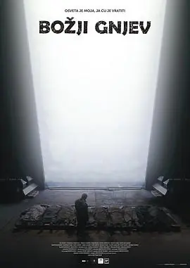 天怒行动海报