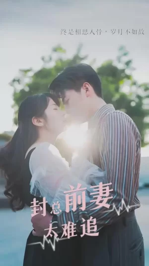 封总前妻太难追海报