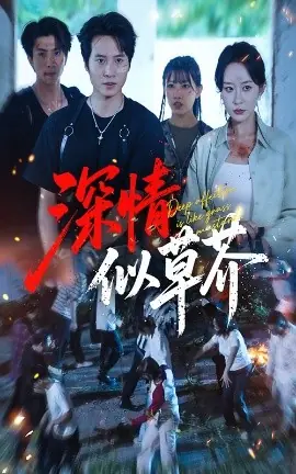 深情似草芥海报