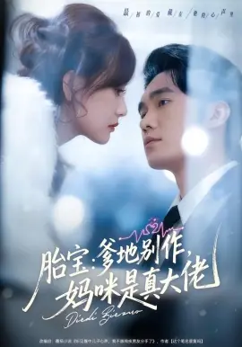 胎宝:爹地别作,妈咪是真大佬海报