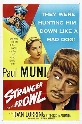 徘徊的陌生人海报