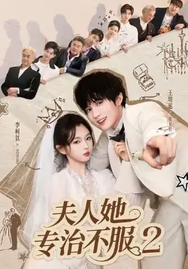 夫人她专治不服2海报