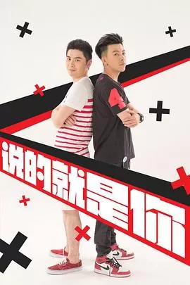 说的就是你2海报