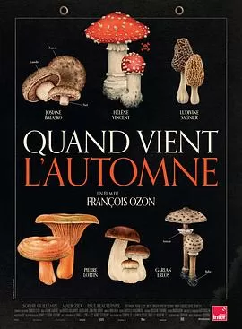 秋日何时来[电影解说]海报