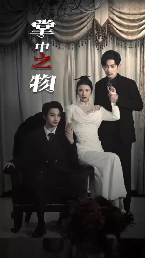 掌中之物海报
