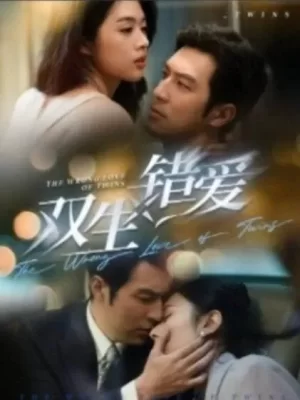 双生错爱海报