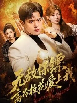 无敌保镖,高冷校花爱上我海报