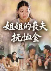 姐姐的丧夫抚恤金海报