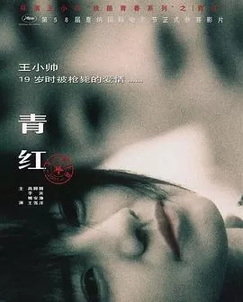 青红[电影解说]海报