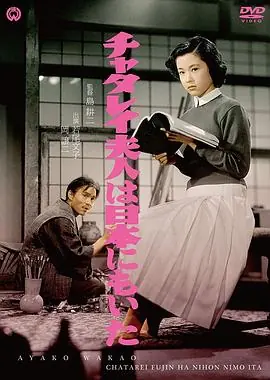 日本的查泰莱夫人海报