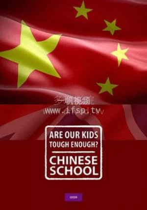 中国老师来了海报