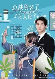 总裁别装了,夫人知道你是千亿大佬了海报