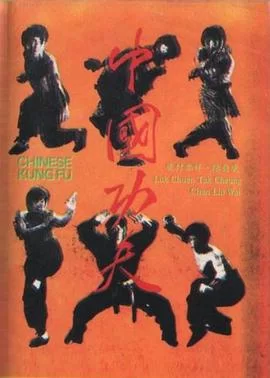 中国功夫海报