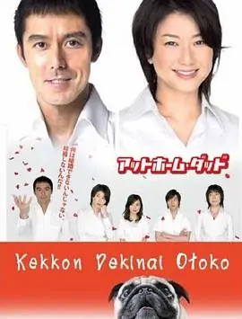 不能结婚的男人海报