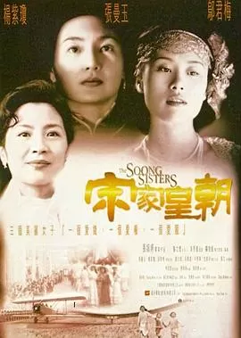 宋家皇朝[电影解说]海报