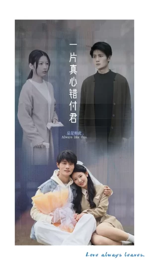 一片真心错付君海报