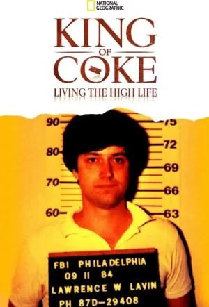 古柯碱之王的享乐人生海报