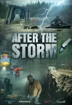 风暴过后第一季海报